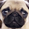 emily_mcnamara1